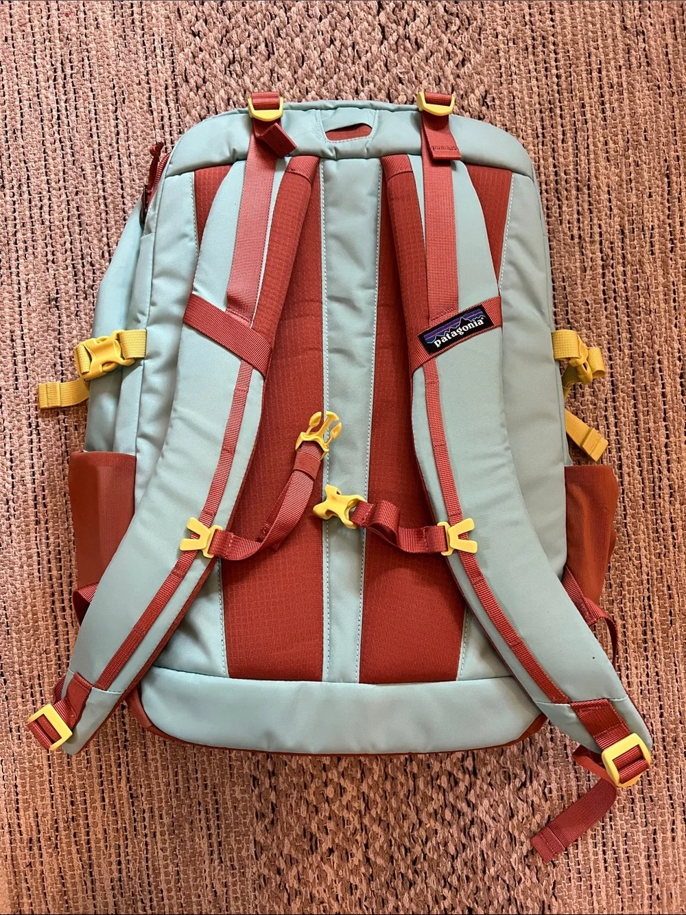 Patagonia Refugio Daypack 30L
